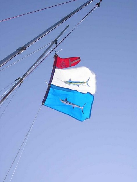 hooked up Cavalier & Blue Marlin Sport Fishing Gran Canaria