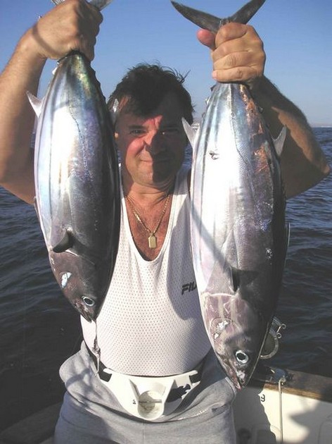 skipjack tuna Cavalier & Blue Marlin Sport Fishing Gran Canaria