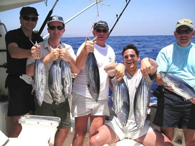 skipjack tuna Cavalier & Blue Marlin Sport Fishing Gran Canaria