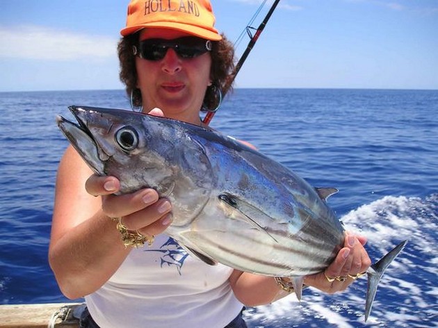 skipjack tuna Cavalier & Blue Marlin Sport Fishing Gran Canaria