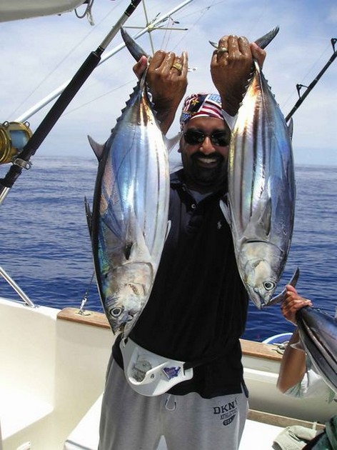 skipjack tuna Cavalier & Blue Marlin Sport Fishing Gran Canaria