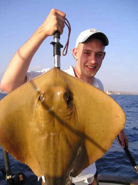 common stingray Cavalier & Blue Marlin Sport Fishing Gran Canaria