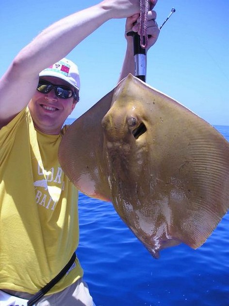 common stingray Cavalier & Blue Marlin Sport Fishing Gran Canaria