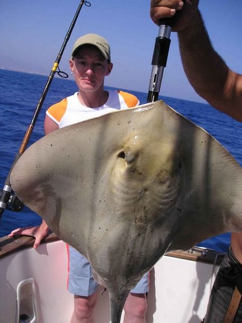 common stingray Cavalier & Blue Marlin Sport Fishing Gran Canaria