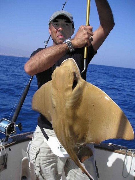 eagle ray Cavalier & Blue Marlin Sport Fishing Gran Canaria