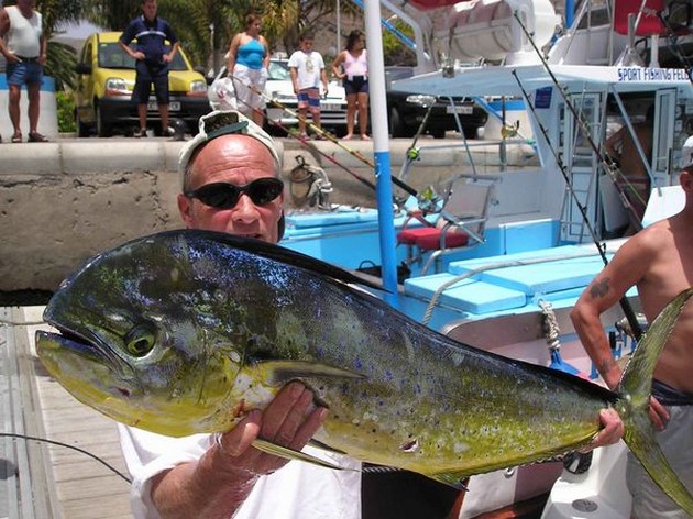 dorado Cavalier & Blue Marlin Sport Fishing Gran Canaria