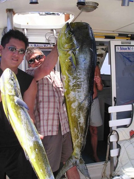 dorado Cavalier & Blue Marlin Sport Fishing Gran Canaria