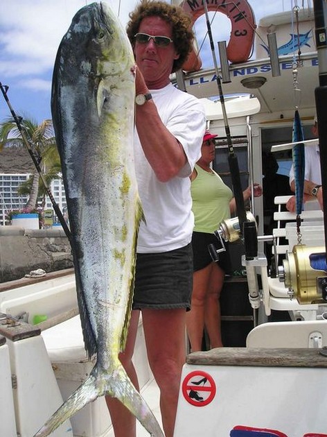 dorado Cavalier & Blue Marlin Sport Fishing Gran Canaria