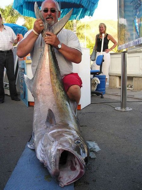 amberjack Cavalier & Blue Marlin Sport Fishing Gran Canaria
