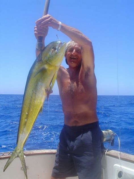dorado Cavalier & Blue Marlin Sport Fishing Gran Canaria