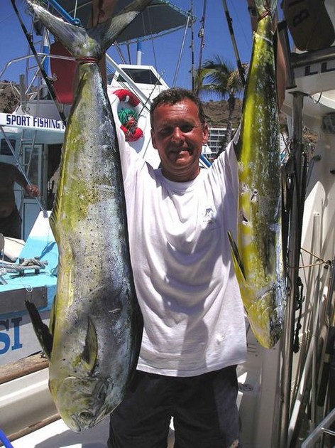 dorado Cavalier & Blue Marlin Sport Fishing Gran Canaria