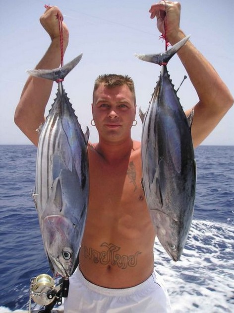 skipjack tuna Cavalier & Blue Marlin Sport Fishing Gran Canaria