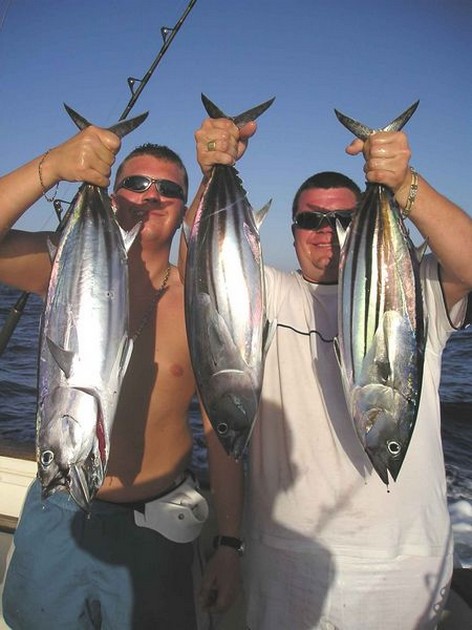 skipjack tuna Cavalier & Blue Marlin Sport Fishing Gran Canaria