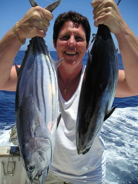 skipjack tuna Cavalier & Blue Marlin Sport Fishing Gran Canaria