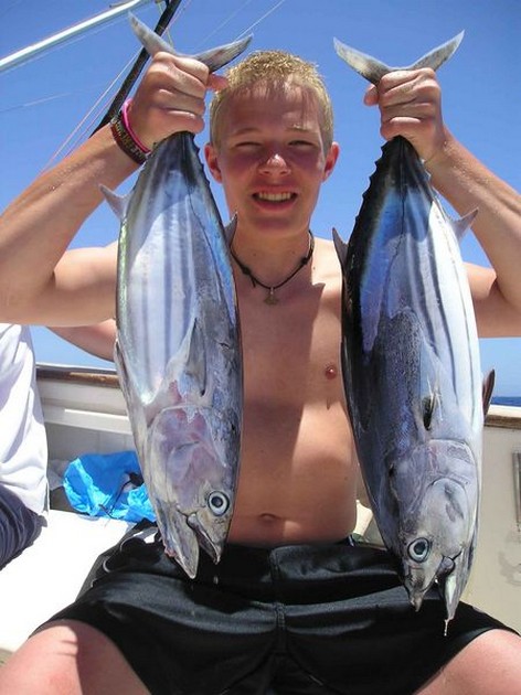 skipjack tuna Cavalier & Blue Marlin Sport Fishing Gran Canaria