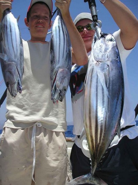 skipjack tuna Cavalier & Blue Marlin Sport Fishing Gran Canaria