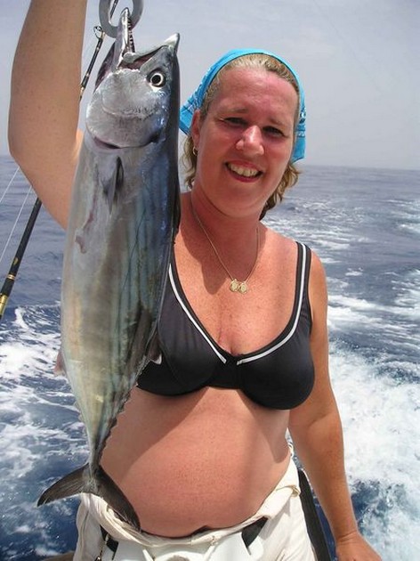 north atlantic bonito Cavalier & Blue Marlin Sport Fishing Gran Canaria