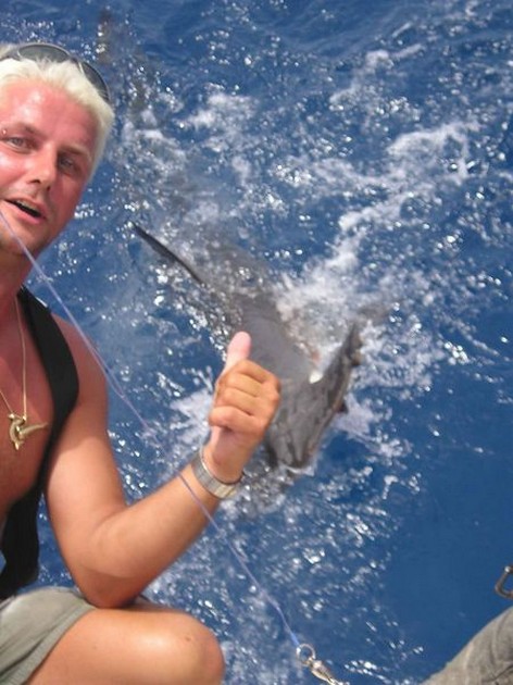 hammerhead shark Cavalier & Blue Marlin Sport Fishing Gran Canaria