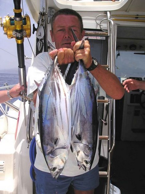 skipjack tuna Cavalier & Blue Marlin Sport Fishing Gran Canaria
