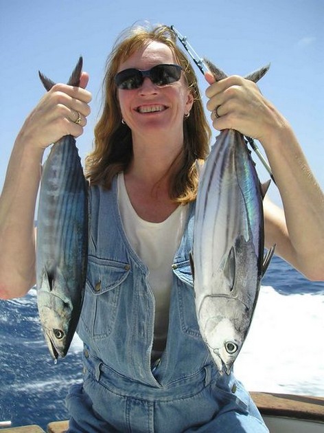 skipjack tuna Cavalier & Blue Marlin Sport Fishing Gran Canaria