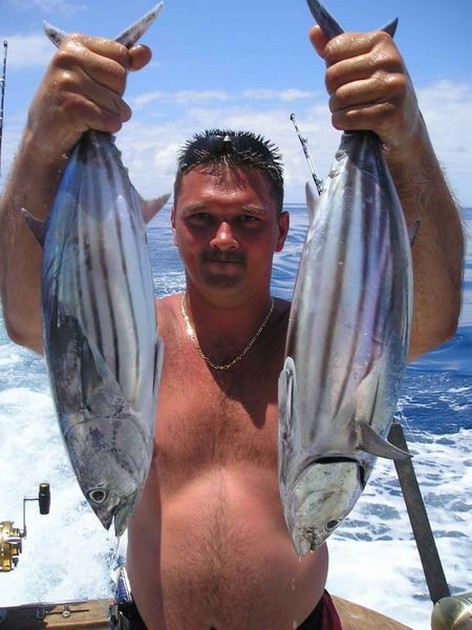skipjack tuna Cavalier & Blue Marlin Sport Fishing Gran Canaria