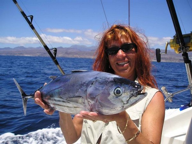 skipjack tuna Cavalier & Blue Marlin Sport Fishing Gran Canaria