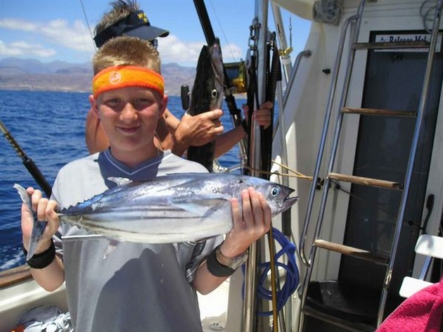 skipjack tuna Cavalier & Blue Marlin Sport Fishing Gran Canaria