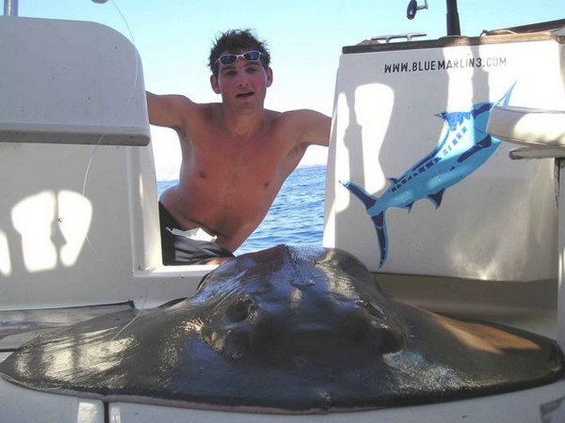 round stingray Cavalier & Blue Marlin Sport Fishing Gran Canaria