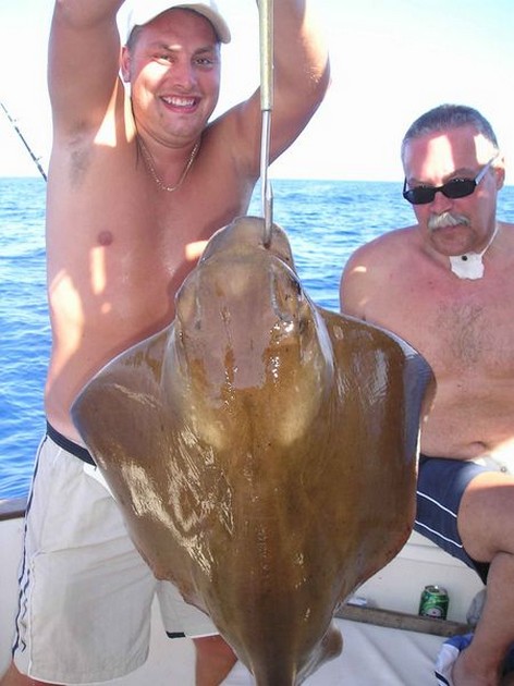 eagle ray Cavalier & Blue Marlin Sport Fishing Gran Canaria