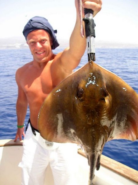 common stingray Cavalier & Blue Marlin Sport Fishing Gran Canaria