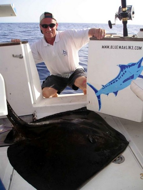 common stingray Cavalier & Blue Marlin Sport Fishing Gran Canaria