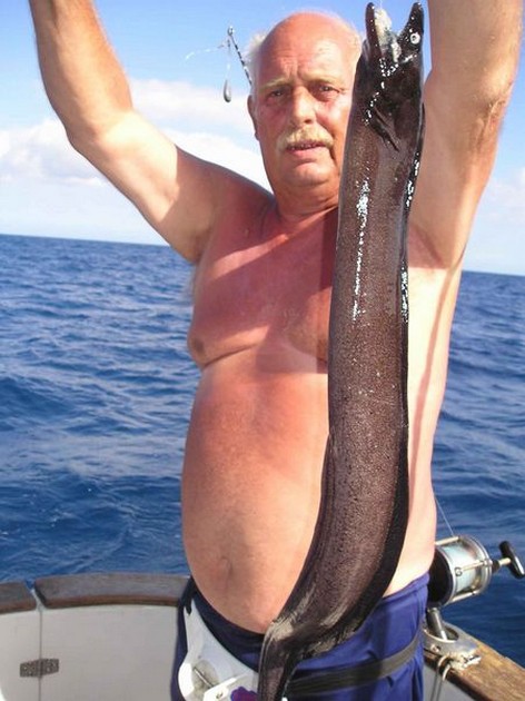brown moray eel Cavalier & Blue Marlin Sport Fishing Gran Canaria