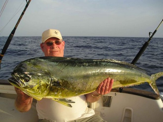 dorado Cavalier & Blue Marlin Sport Fishing Gran Canaria