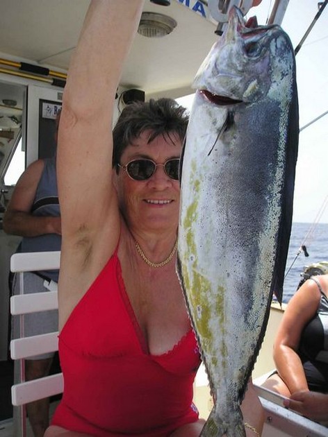 dorado Cavalier & Blue Marlin Sport Fishing Gran Canaria