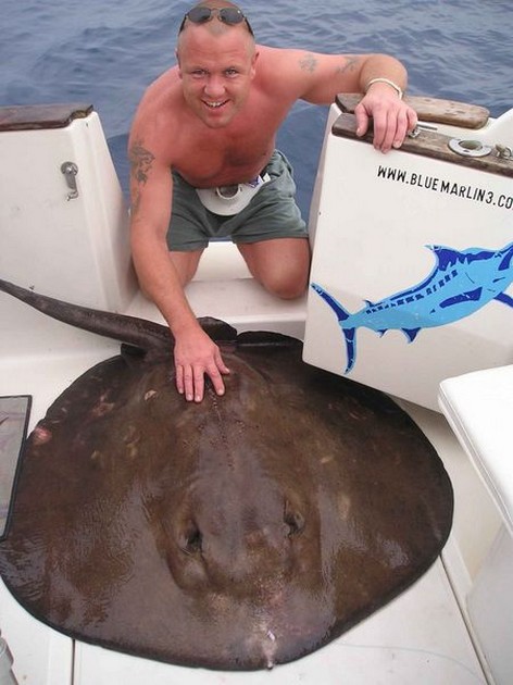 round stingray Cavalier & Blue Marlin Sport Fishing Gran Canaria