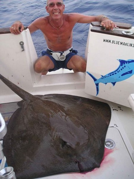 common stingray Cavalier & Blue Marlin Sport Fishing Gran Canaria
