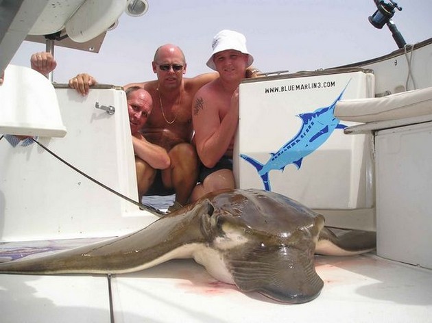 duckbill ray Cavalier & Blue Marlin Sport Fishing Gran Canaria