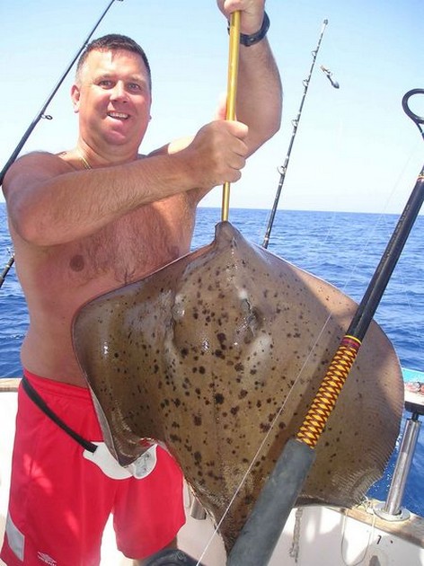 round stingray Cavalier & Blue Marlin Sport Fishing Gran Canaria