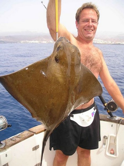 eagle ray Cavalier & Blue Marlin Sport Fishing Gran Canaria