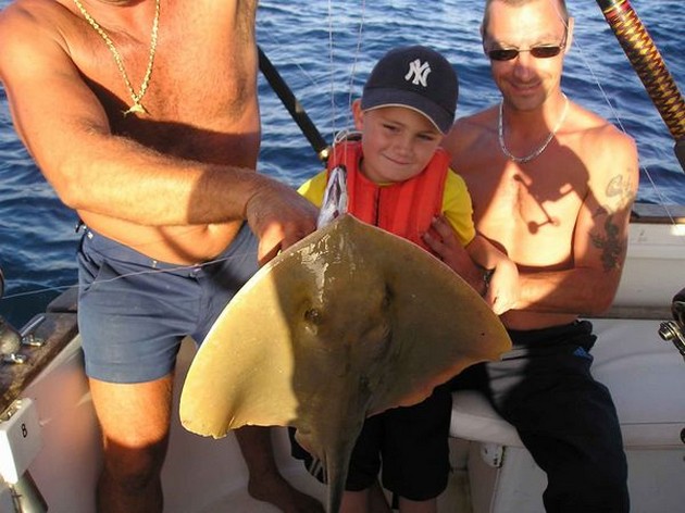 common stingray Cavalier & Blue Marlin Sport Fishing Gran Canaria