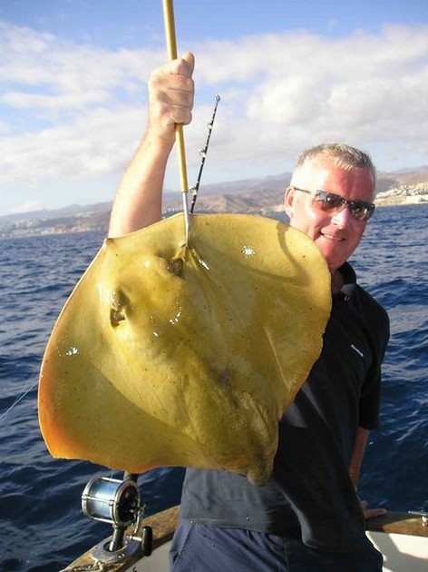 common stingray Cavalier & Blue Marlin Sport Fishing Gran Canaria