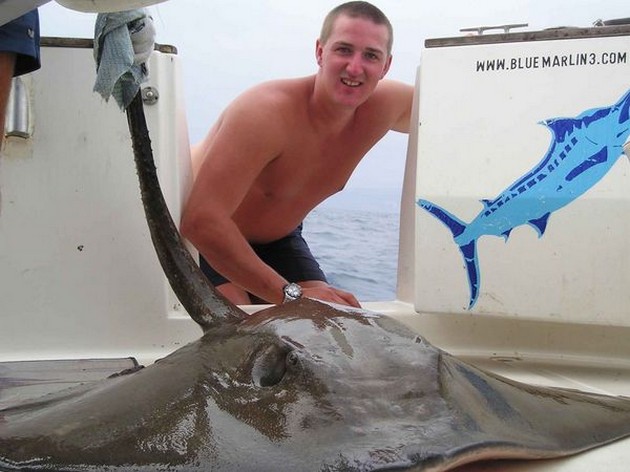 common stingray Cavalier & Blue Marlin Sport Fishing Gran Canaria