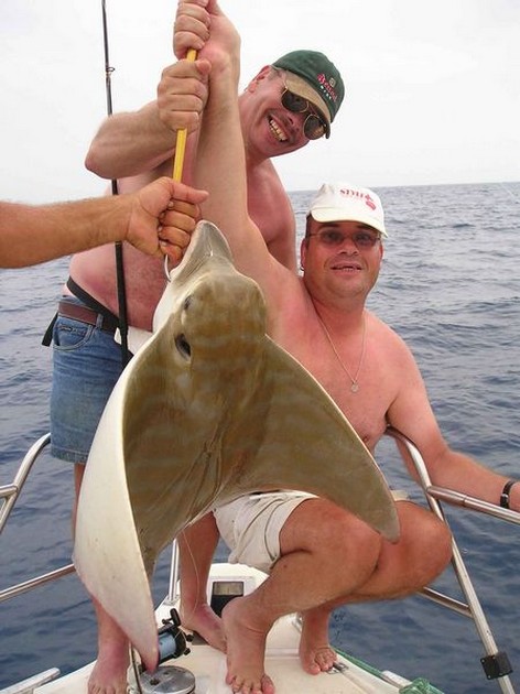 duckbill ray Cavalier & Blue Marlin Sport Fishing Gran Canaria
