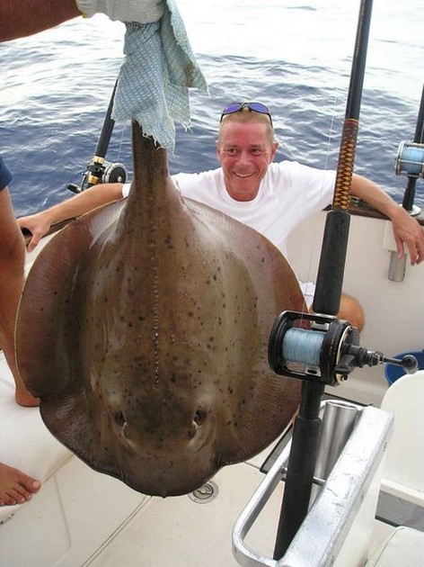 round stingray Cavalier & Blue Marlin Sport Fishing Gran Canaria