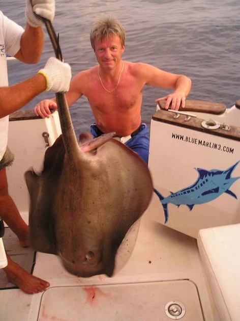 common stingray Cavalier & Blue Marlin Sport Fishing Gran Canaria