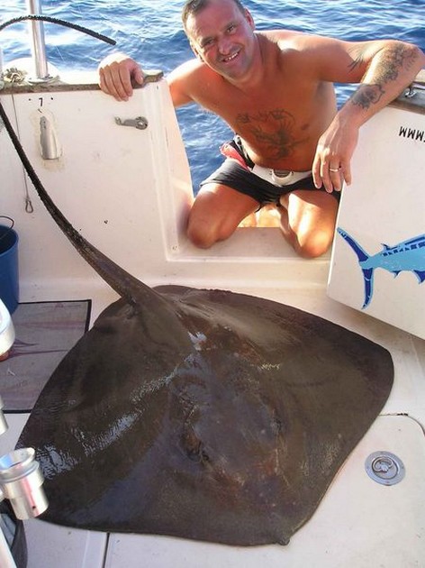 common stingray Cavalier & Blue Marlin Sport Fishing Gran Canaria