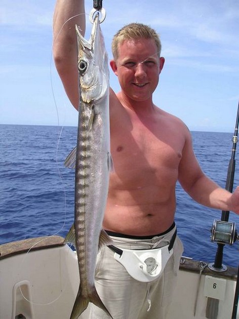 baracuda Cavalier & Blue Marlin Sport Fishing Gran Canaria