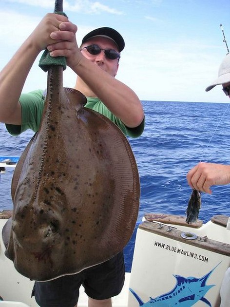 round stingray Cavalier & Blue Marlin Sport Fishing Gran Canaria