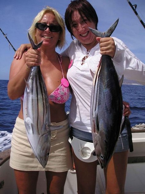 skipjack tuna Cavalier & Blue Marlin Sport Fishing Gran Canaria