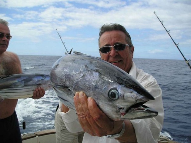 skipjack tuna Cavalier & Blue Marlin Sport Fishing Gran Canaria